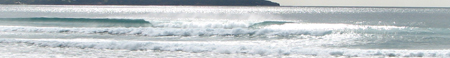 beachie1450